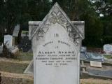 image number 165 Albert Atkins